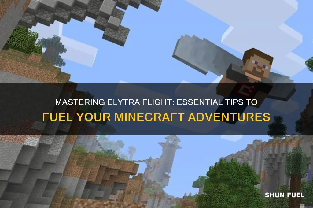 how to fuel elytra