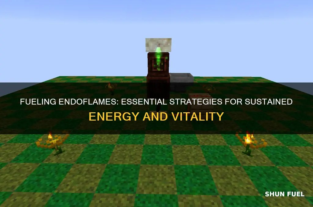 how to fuel endoflames