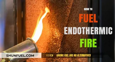 Mastering Endothermic Fire: Fueling Techniques for Sustainable Energy Solutions