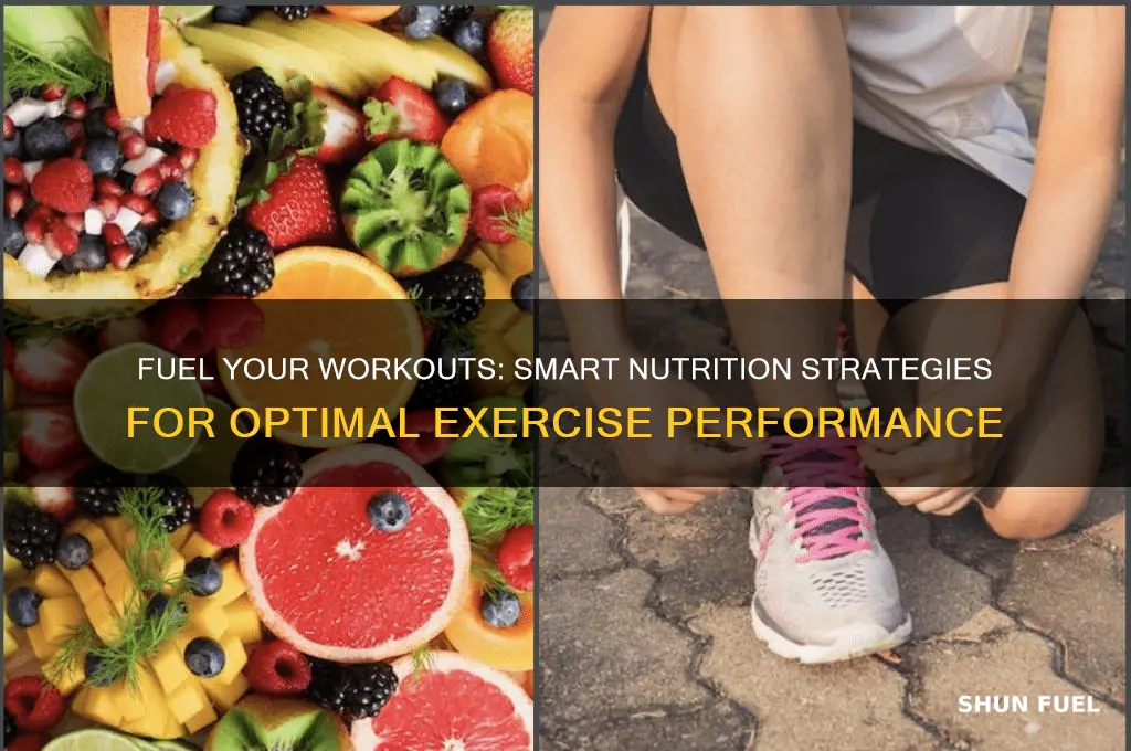 how to fuel for exercise