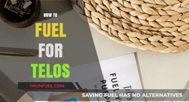 Optimize Your Energy: Smart Fueling Strategies for Telos Performance