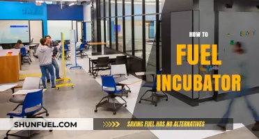 Effective Strategies to Fuel Your Incubator for Optimal Startup Growth