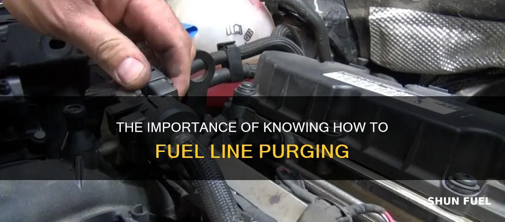 how to fuel line purging