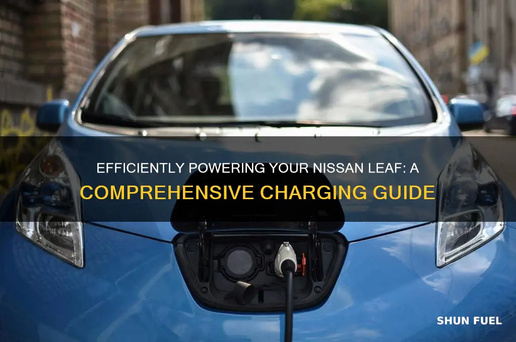 how to fuel nissan leaf
