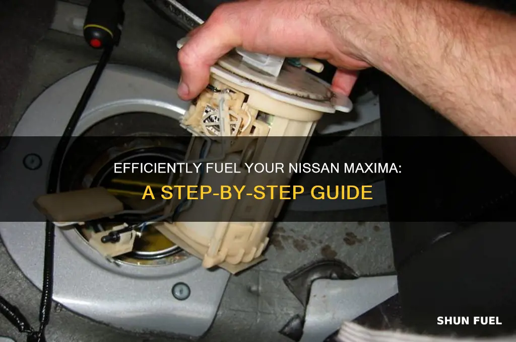 how to fuel nissan maxima