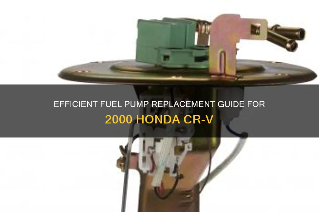 how to fuel pump 00 crv