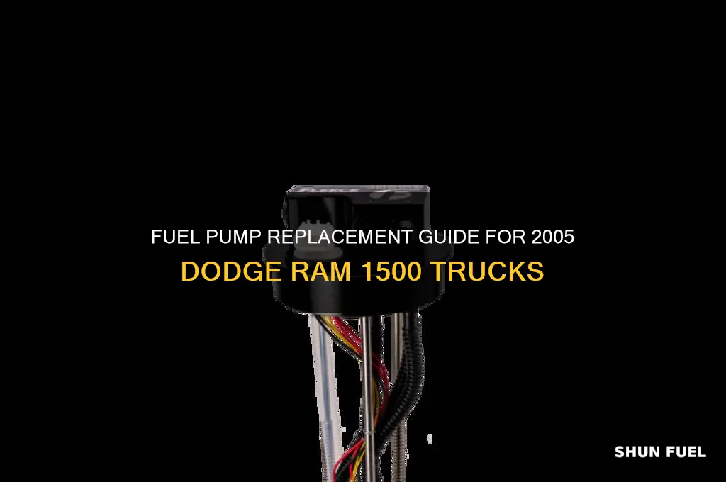 how to fuel pump 05 ram 1500