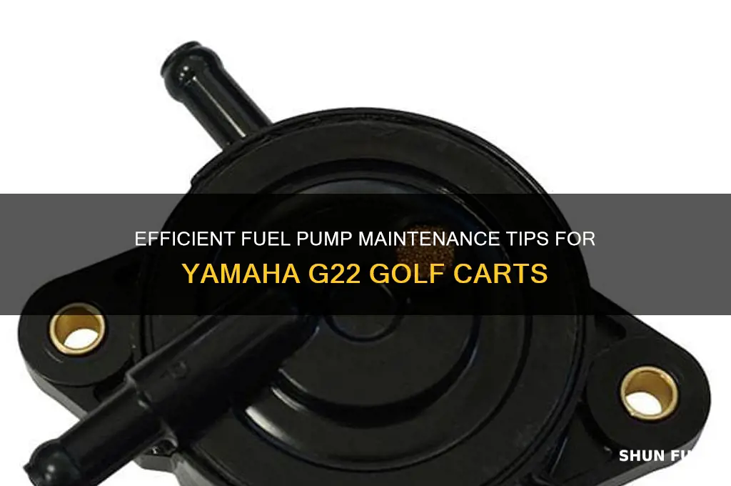 how to fuel pump g22 yamaha