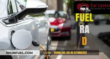 Mastering Fuel Efficiency: Tips to Optimize Your Ra D's Performance