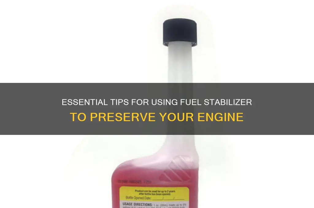 how to fuel stabilizer