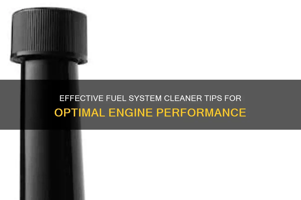 how to fuel system cleaner