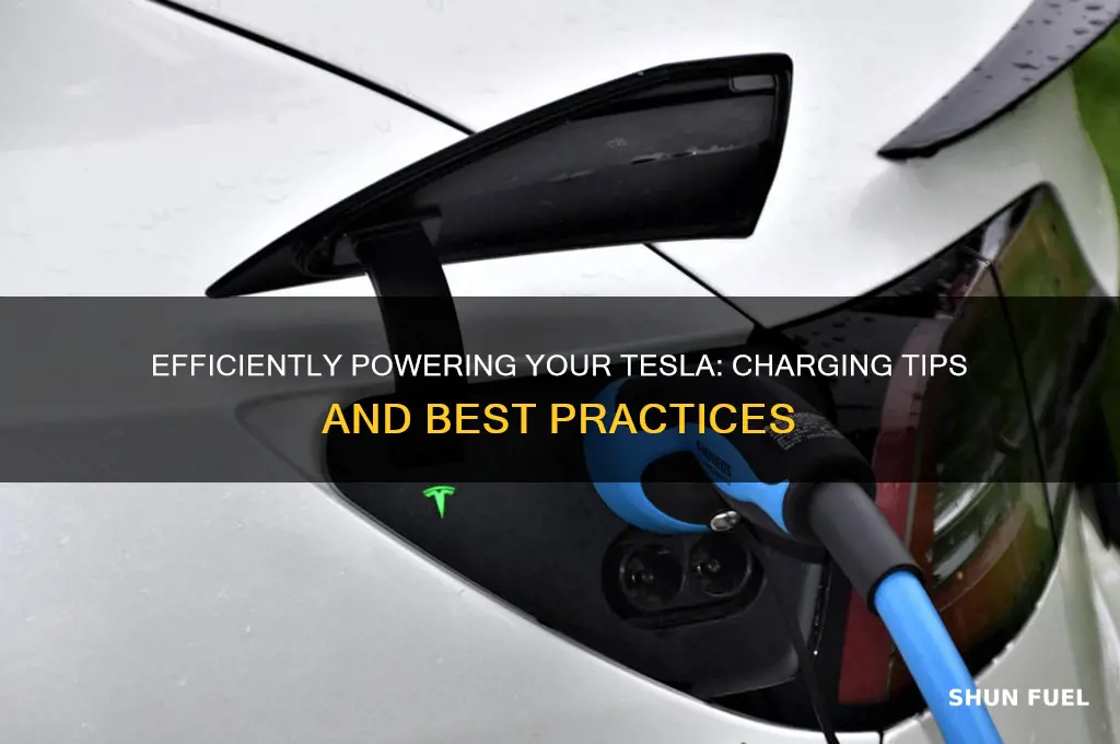 how to fuel tesla