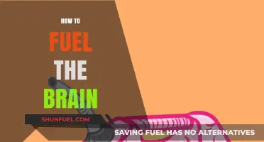 Boost Brain Power: Essential Tips to Fuel Your Mind Effectively