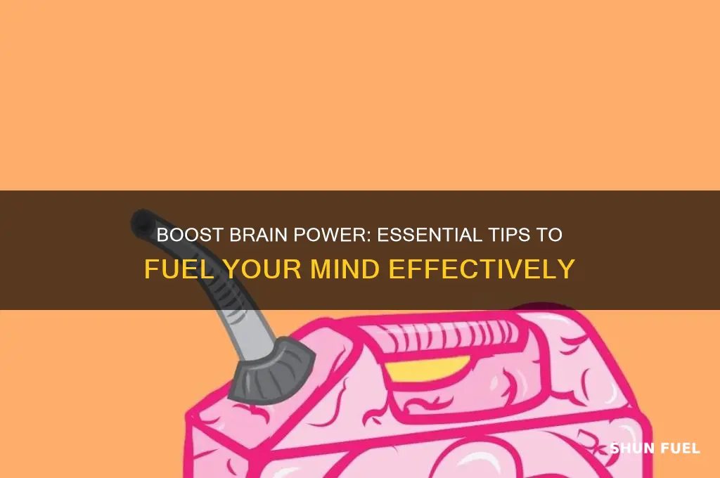 how to fuel the brain
