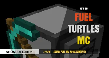 Fuel Your Turtles MC: Essential Tips for Optimal Performance and Care
