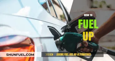 Fuel Smarter: Essential Tips for Optimal Energy and Performance