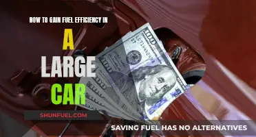 Maximize Fuel Efficiency: Tips for Large Cars