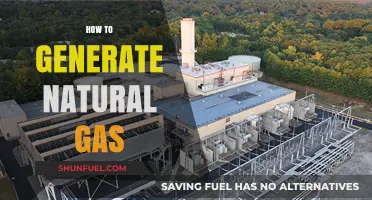 Sustainable Energy Insights: How to Generate Natural Gas Responsibly