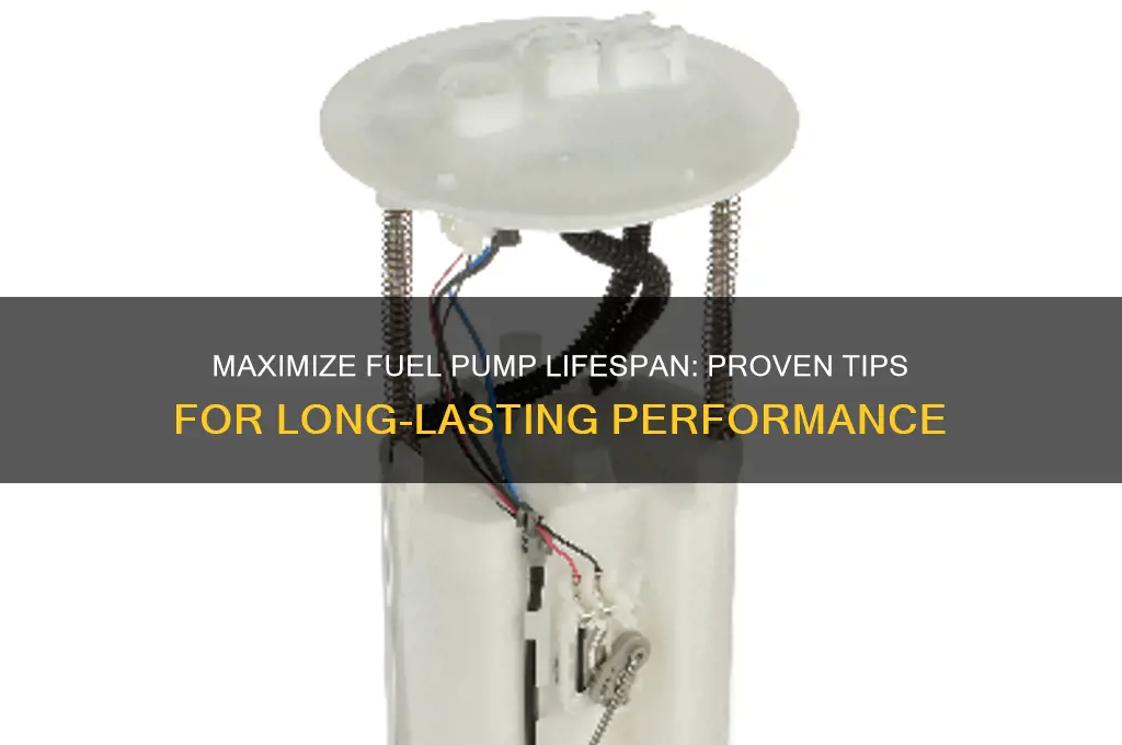 how to get a longest lasting fuel pump