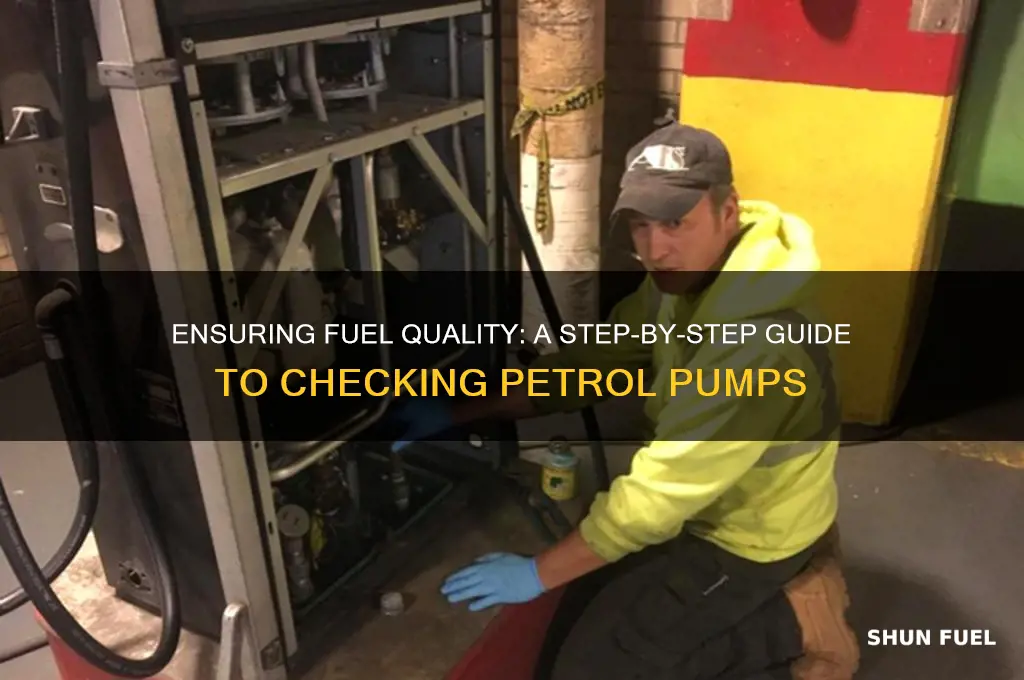 how to get a petrol pump checked for fuel
