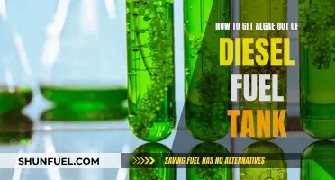 Removing Algae from Diesel Fuel Tanks: A Comprehensive Guide