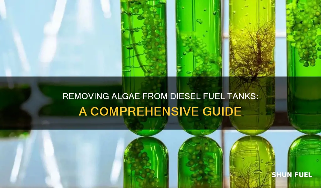 how to get algae out of diesel fuel tank