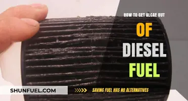 Eradicating Algae from Diesel Fuel: Effective Strategies