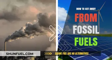 Transitioning to Clean Energy: Strategies to Ditch Fossil Fuels for Good