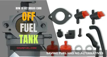 Removing a Briggs Carb: Step-by-Step Guide