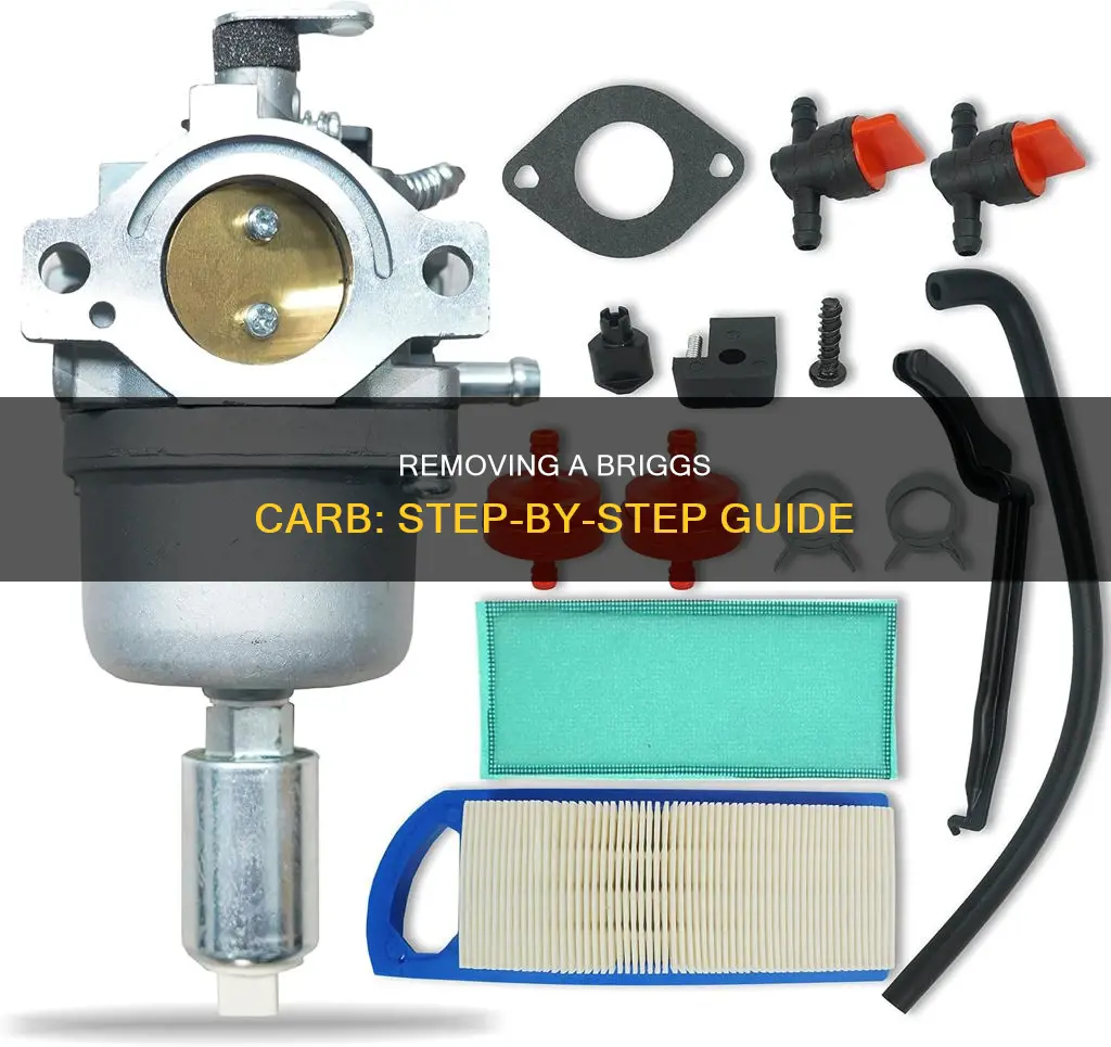 how to get briggs carb off fuel tank