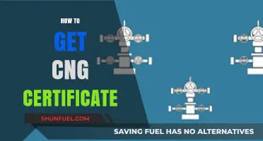 Navigating the Process: A Comprehensive Guide to Obtaining Your CNG Certificate