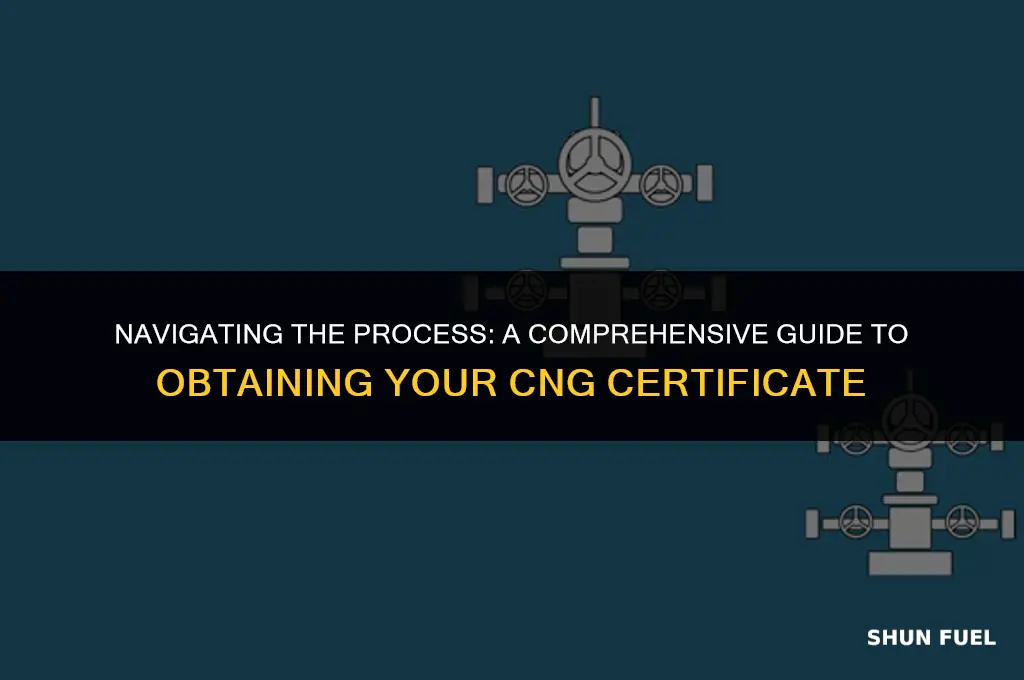 how to get cng certificate