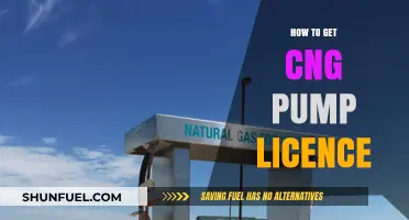 Navigating the Process: A Guide to Obtaining Your CNG Pump License