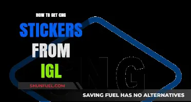 Decoding the Process: Obtaining CNG Stickers from IGL