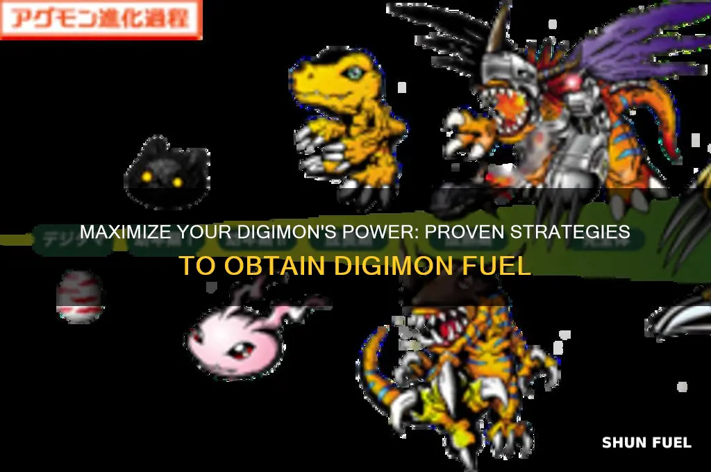 how to get digimon fuel