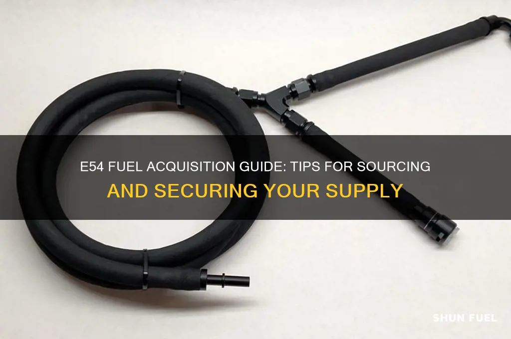 how to get e54 fuel