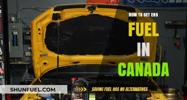 Where to Find E85 Fuel in Canada: A Comprehensive Guide