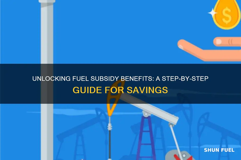 how to get fuel subsidy