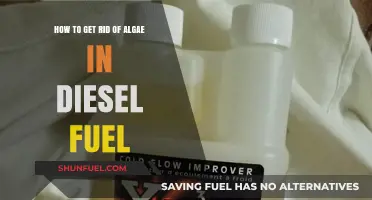 Eradicating Algae Growth in Diesel Fuel: A Comprehensive Guide