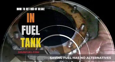 Eradicating Algae Growth in Fuel Tanks
