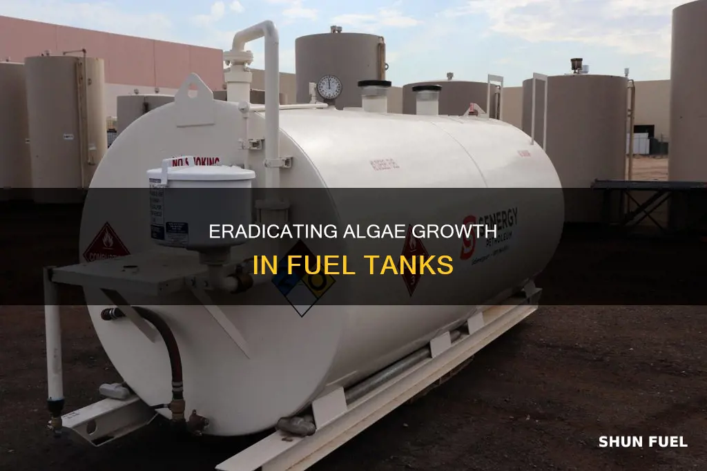 how to get rid of algae in fuel tank