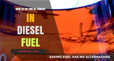 Eradicating Fungus from Diesel Fuel