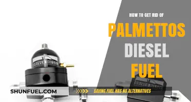Get Rid of Palmetto Diesel Fuel: Effective Strategies