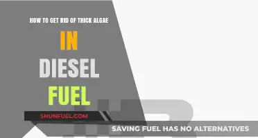 Eradicating Thick Algae from Diesel: A Comprehensive Guide