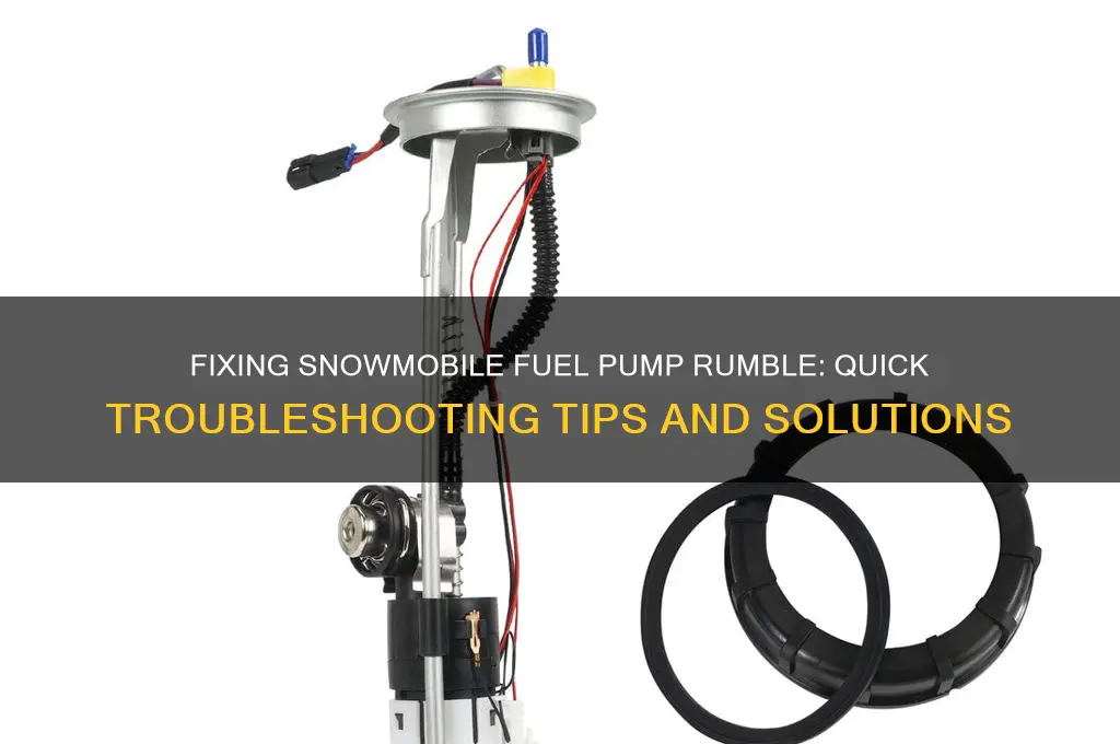 how to get rumble in snowmobile fuel pump