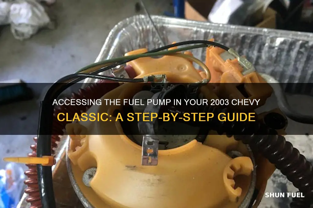 how to get to fuel pump 2003 chevy classic