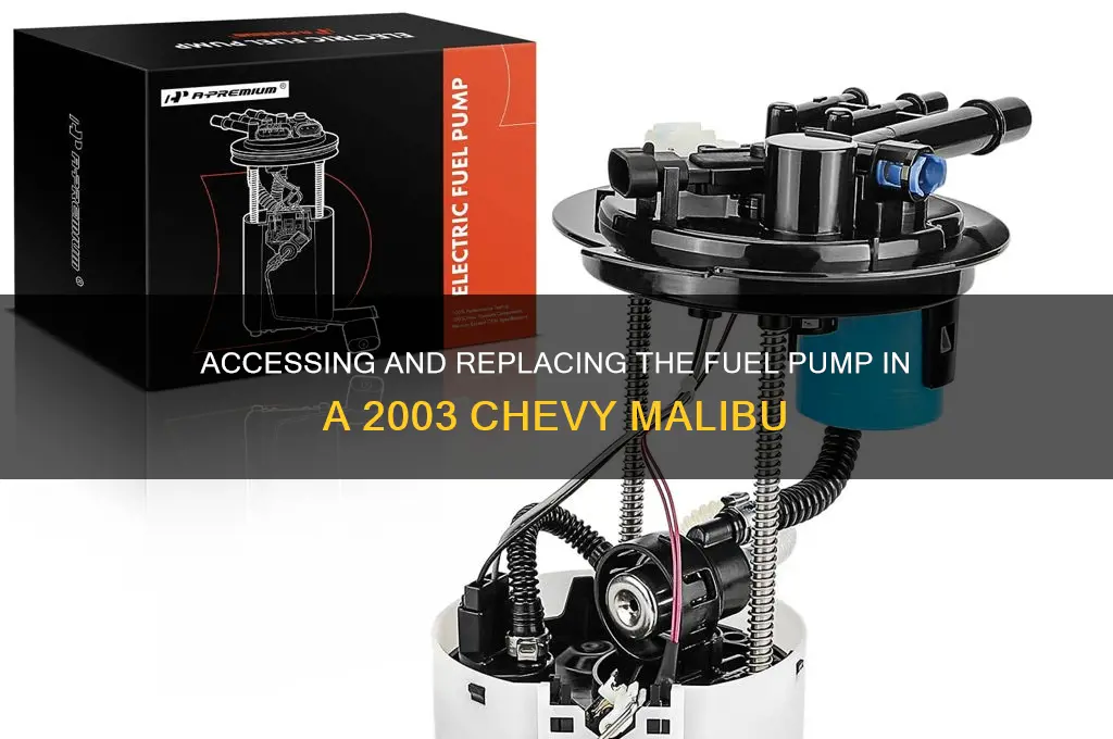 how to get to fuel pump 2003 chevy malibu