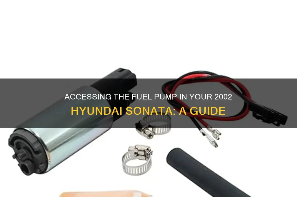 how to get to fuel pump on 2002 hyundai sonata