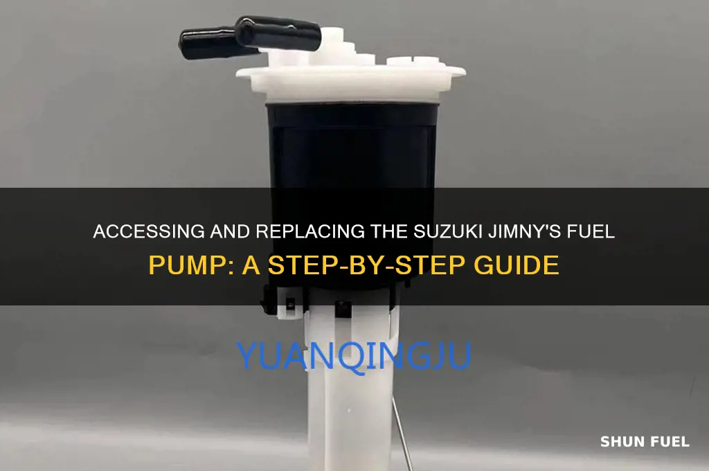how to get to suzuki jimny fuel pump