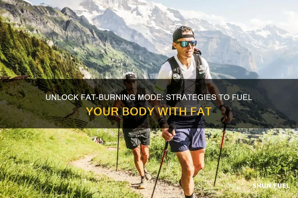 how to get your body to use fat as fuel